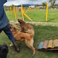 IMG_20221204_142011884