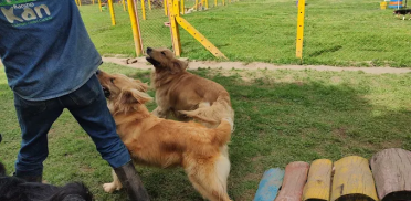 IMG_20221204_142011884