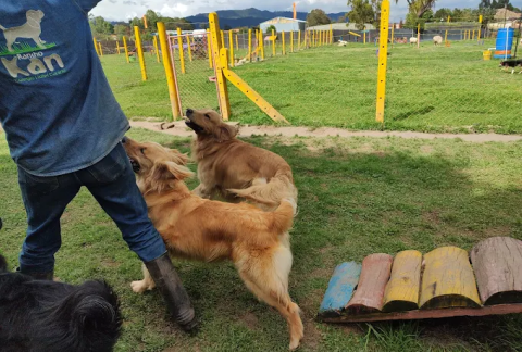 IMG_20221204_142011884