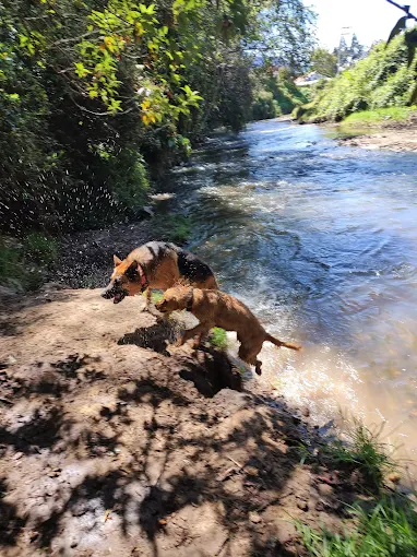 IMG_20221224_102630870_BURST005